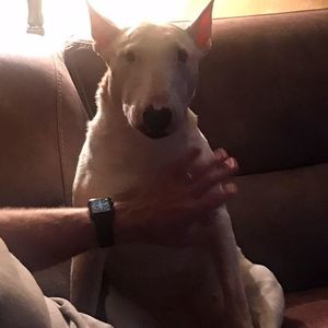 Meet your Posher, Karen